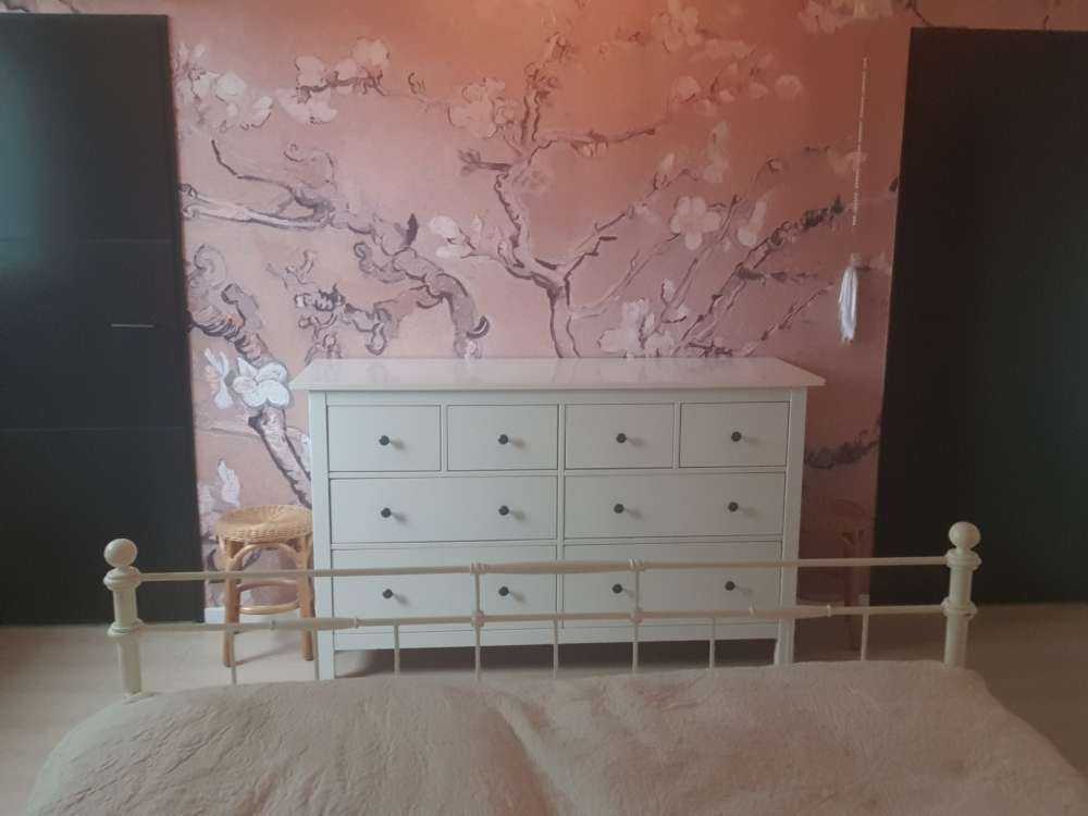 Light-coloured Almond Blossom