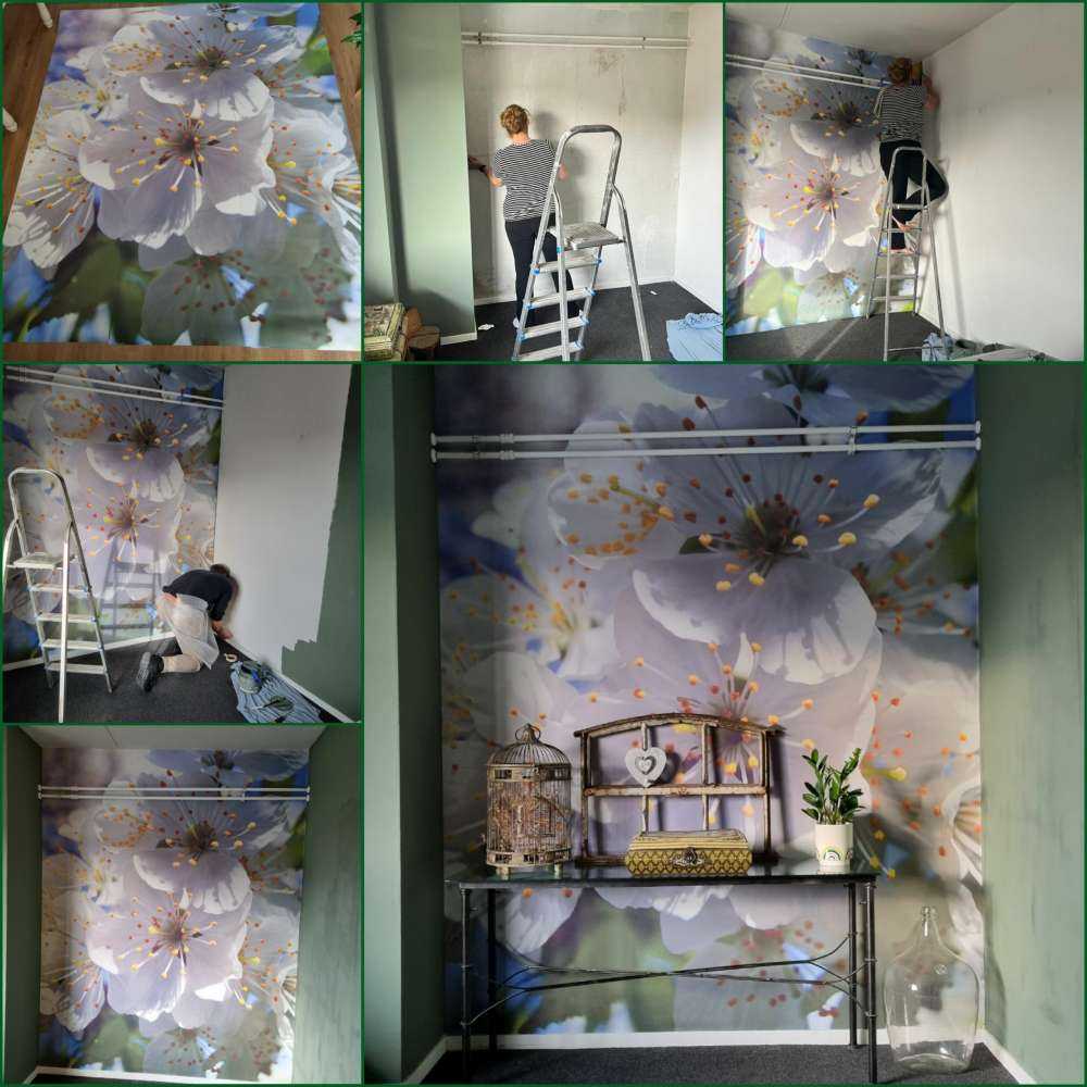 Close-up white blossoms