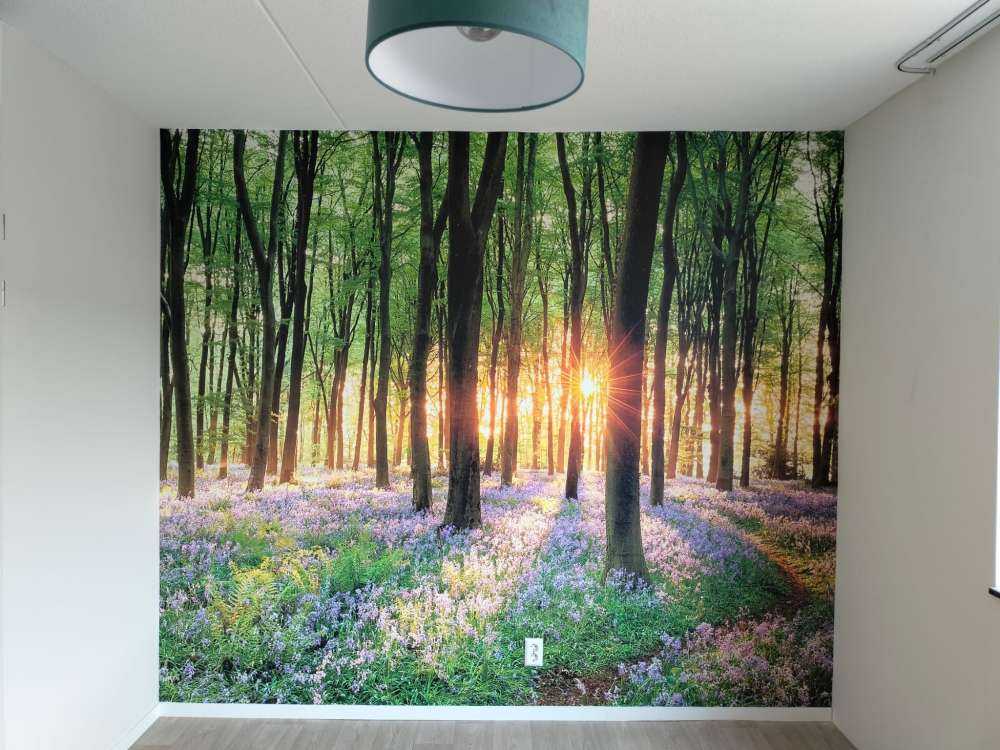 Forest path at sunrise