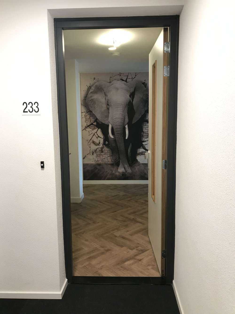 3D Elephant from the wall