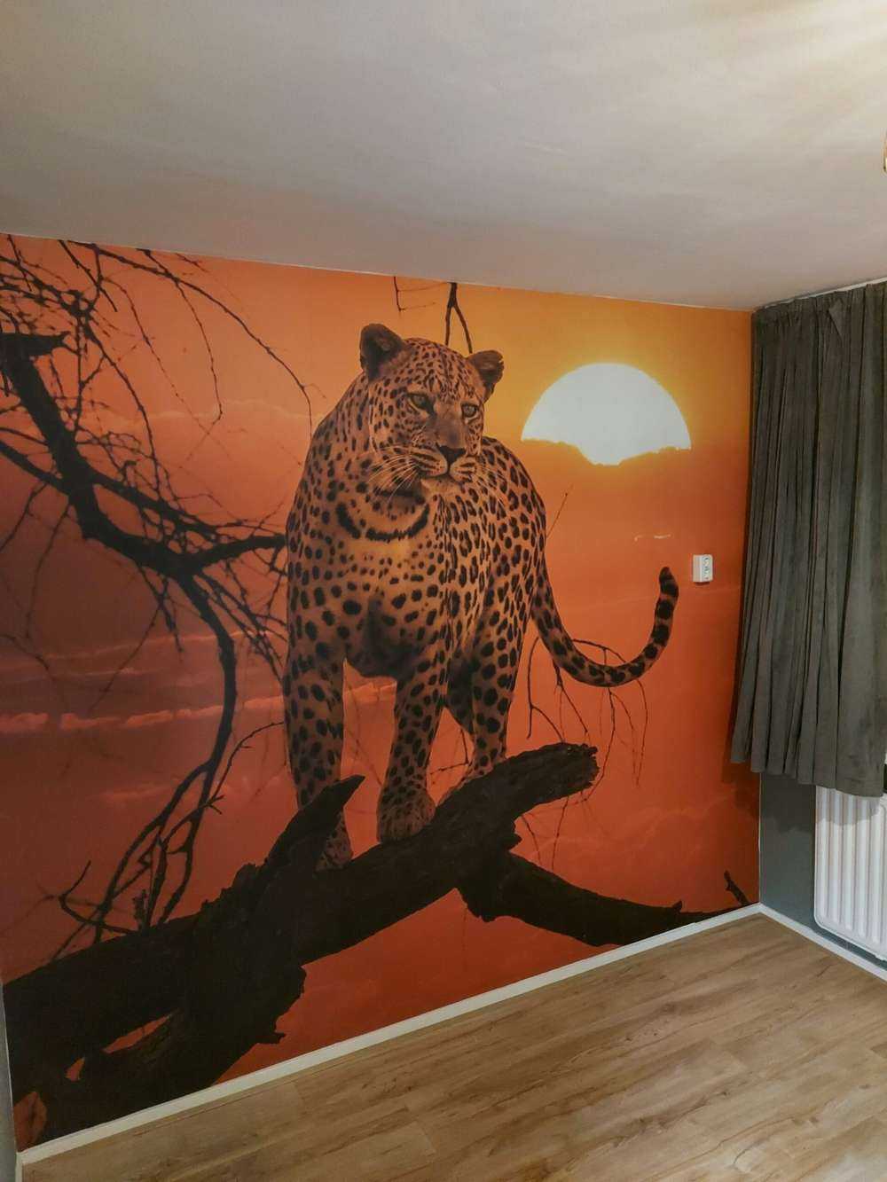 Leopard with setting sun