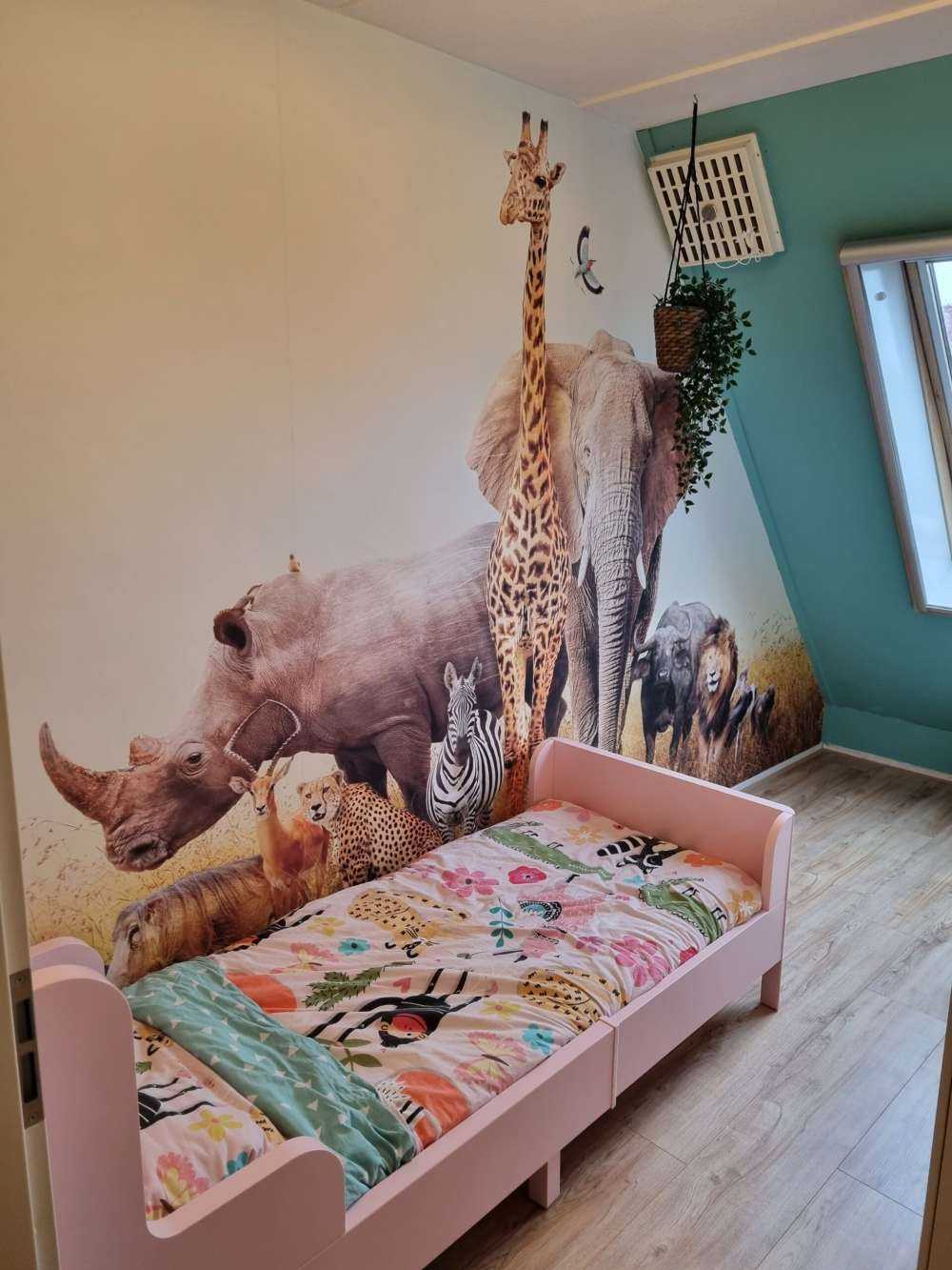 Animals in the savannah