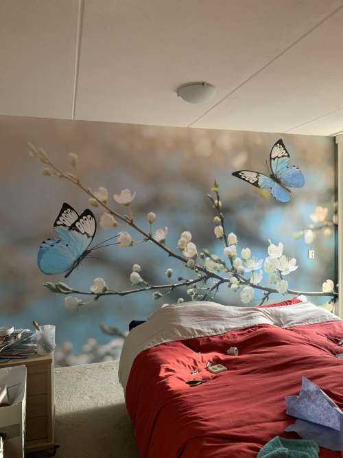 Blue butterflies