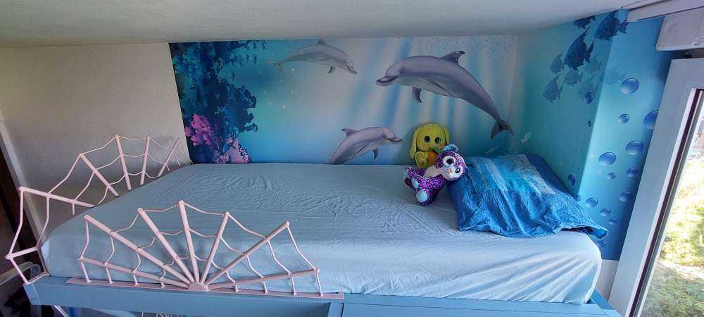 Underwater world with dolphins