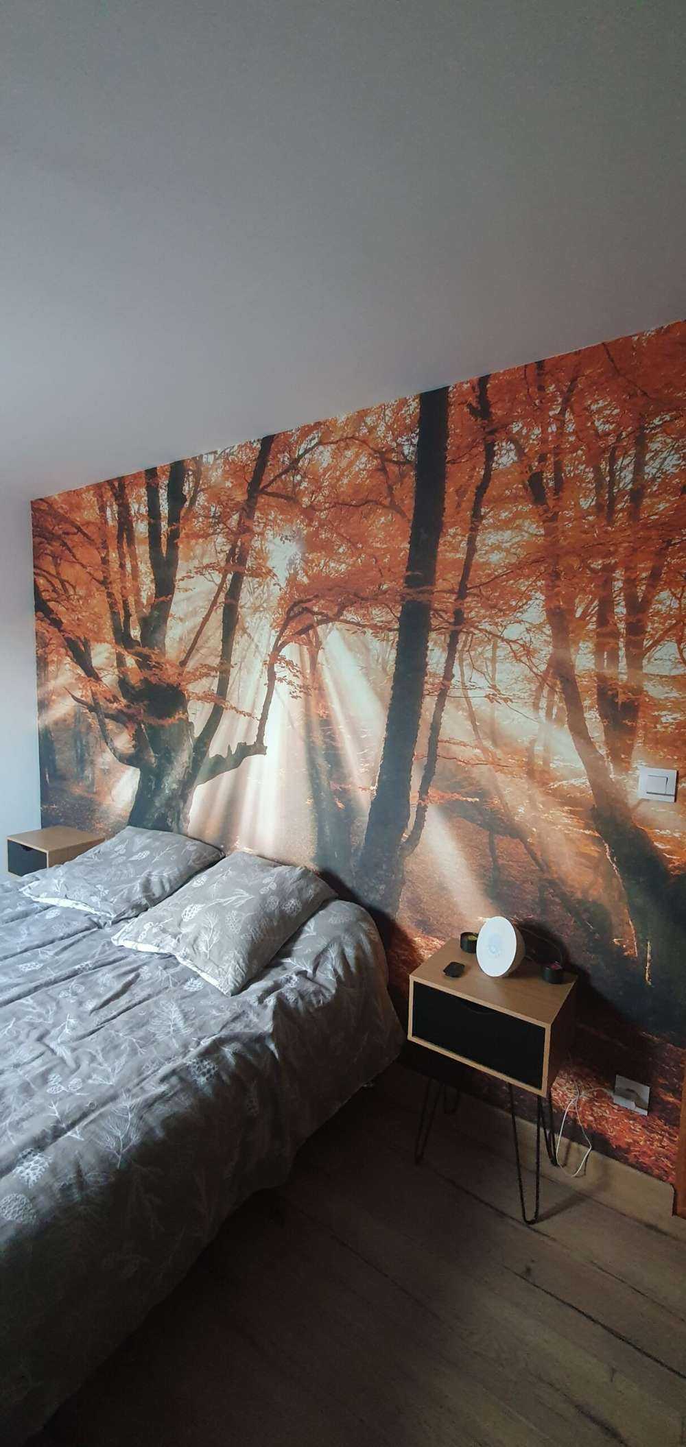 Magical Autumn Forest