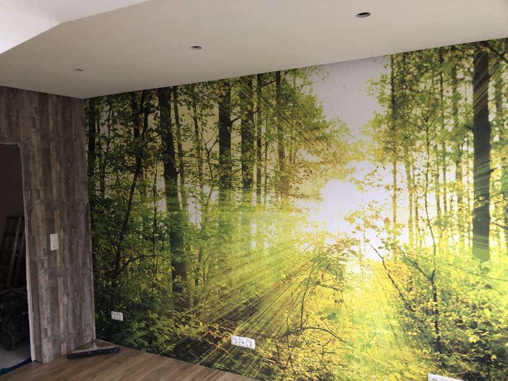 Sunshine in a green forest