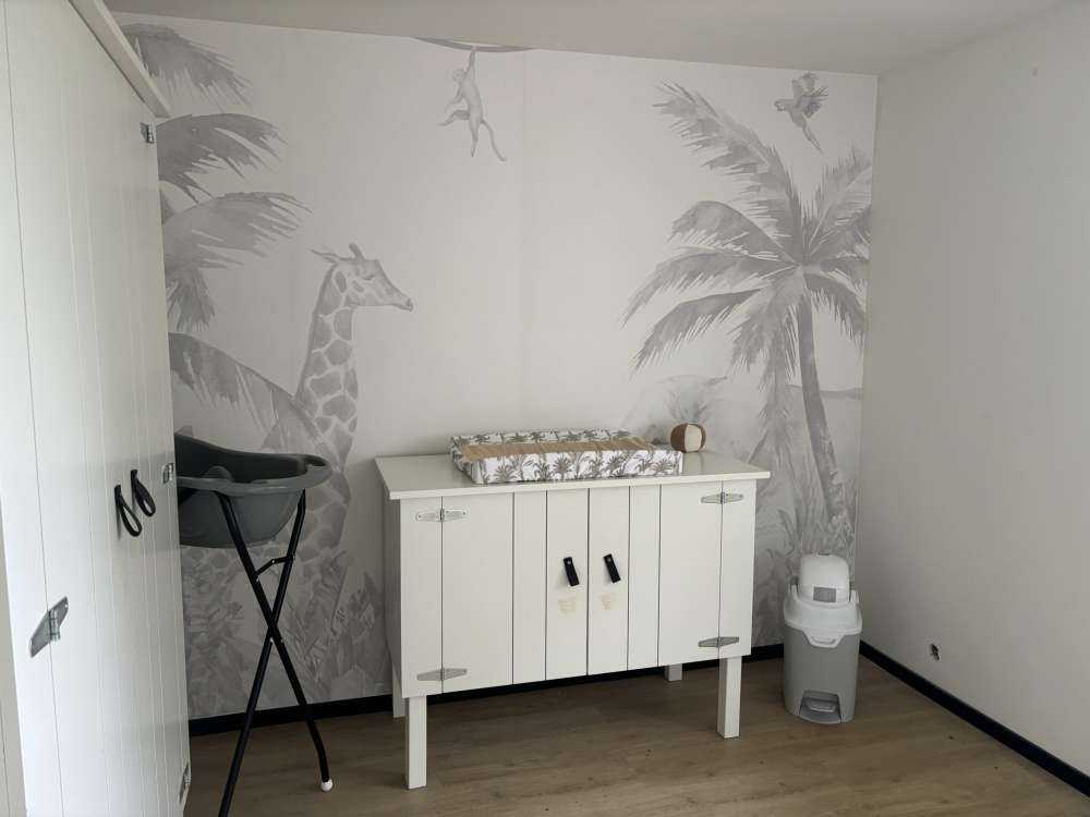 Cheerful jungle animals