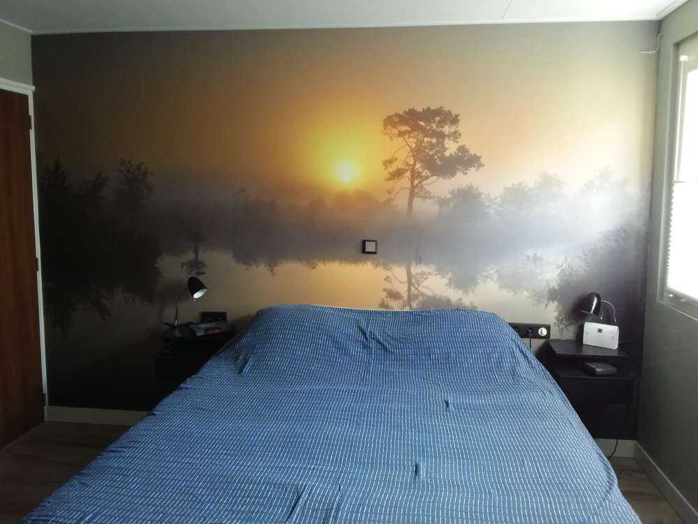 Foggy sunrise