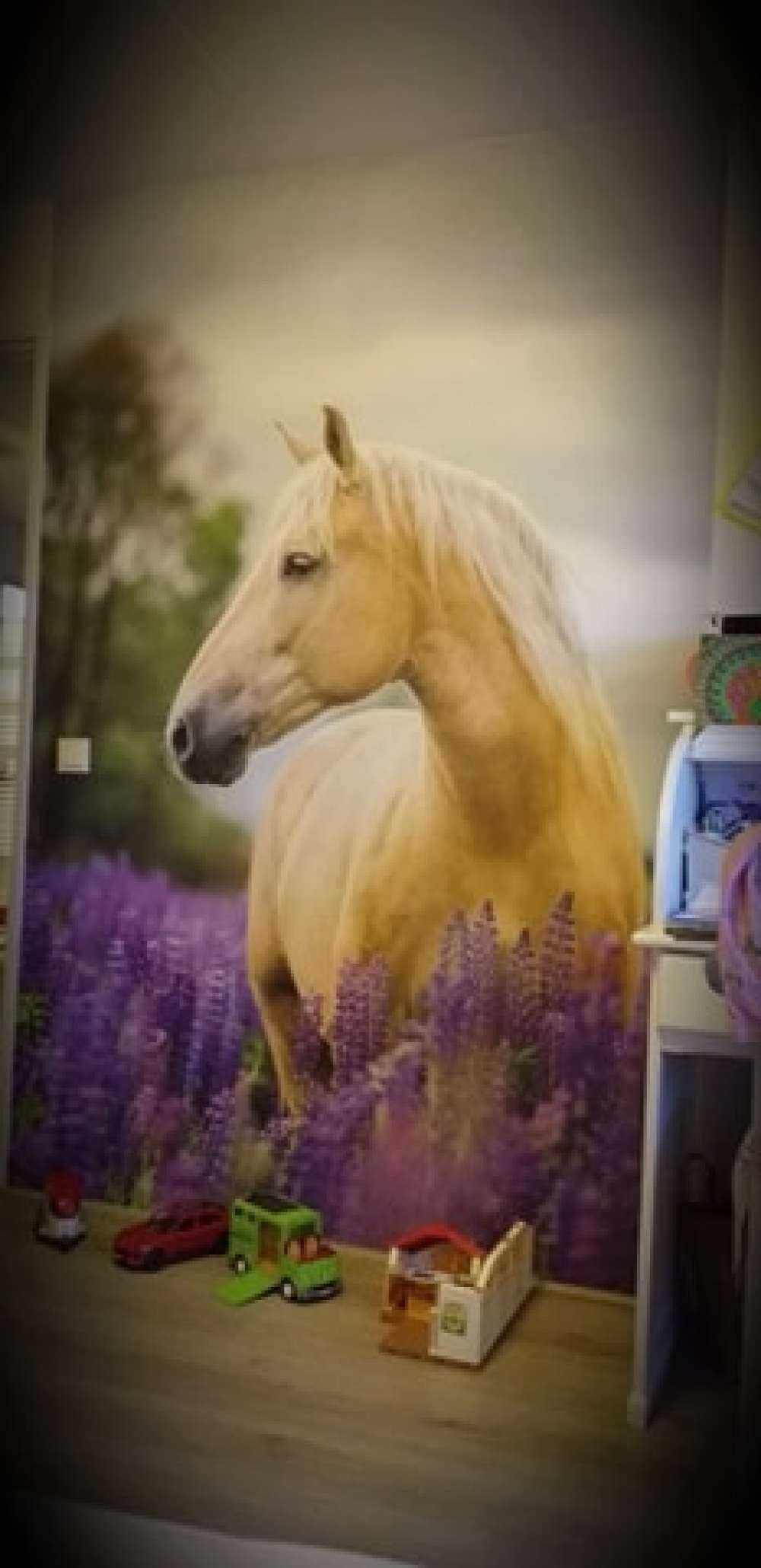 Horse among the butterfly flowers