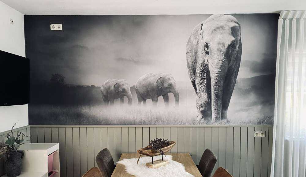 Three elephants