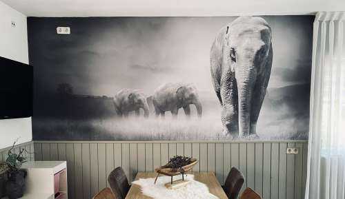 Three elephants