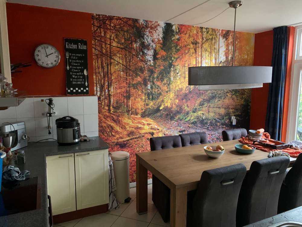 Tree in autumn colours