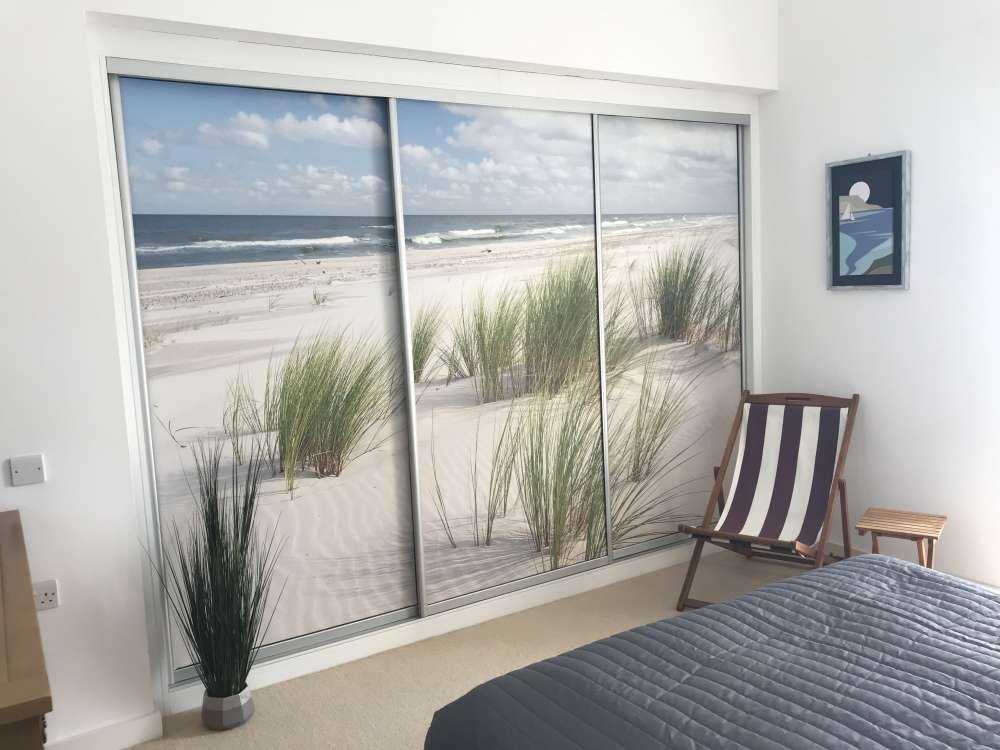 Beach with dune plants