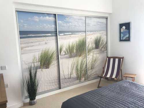 Beach with dune plants