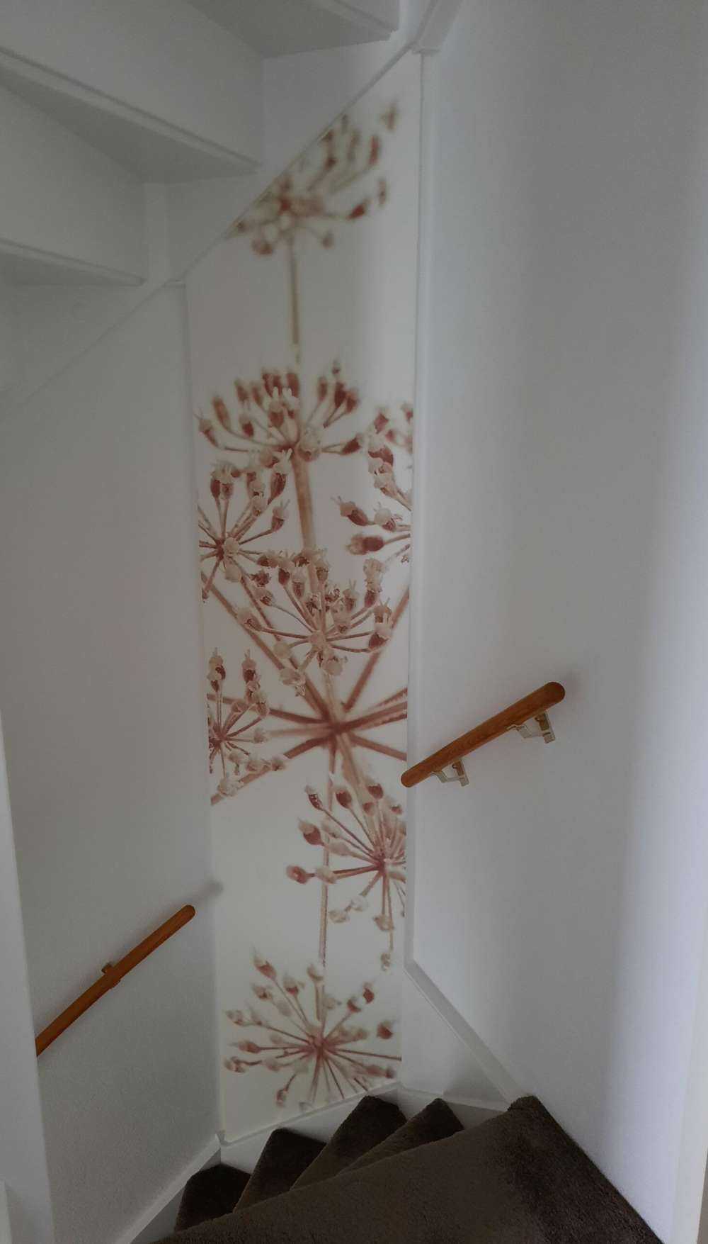 Close-up cow parsley