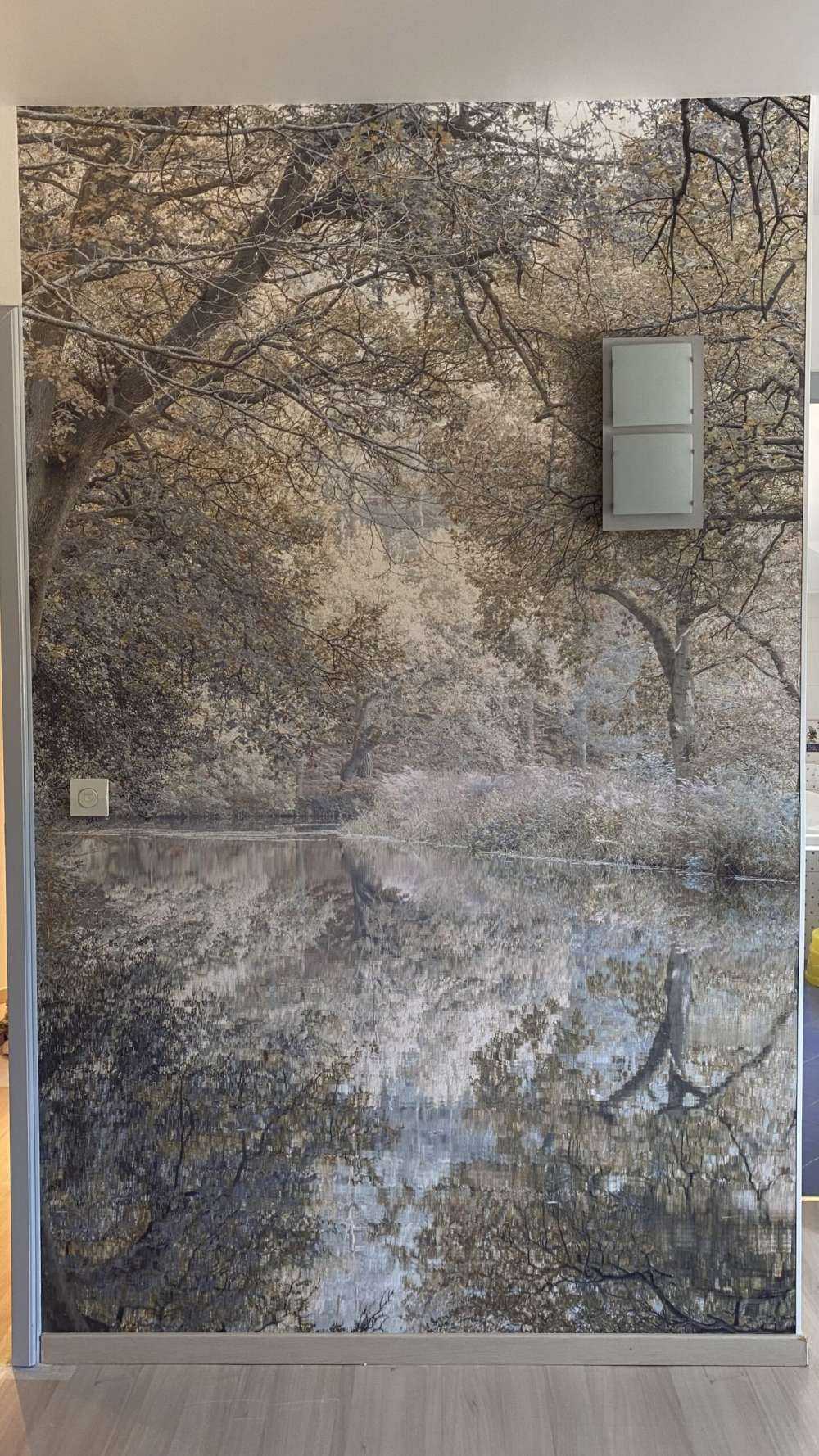 Canal in the woods