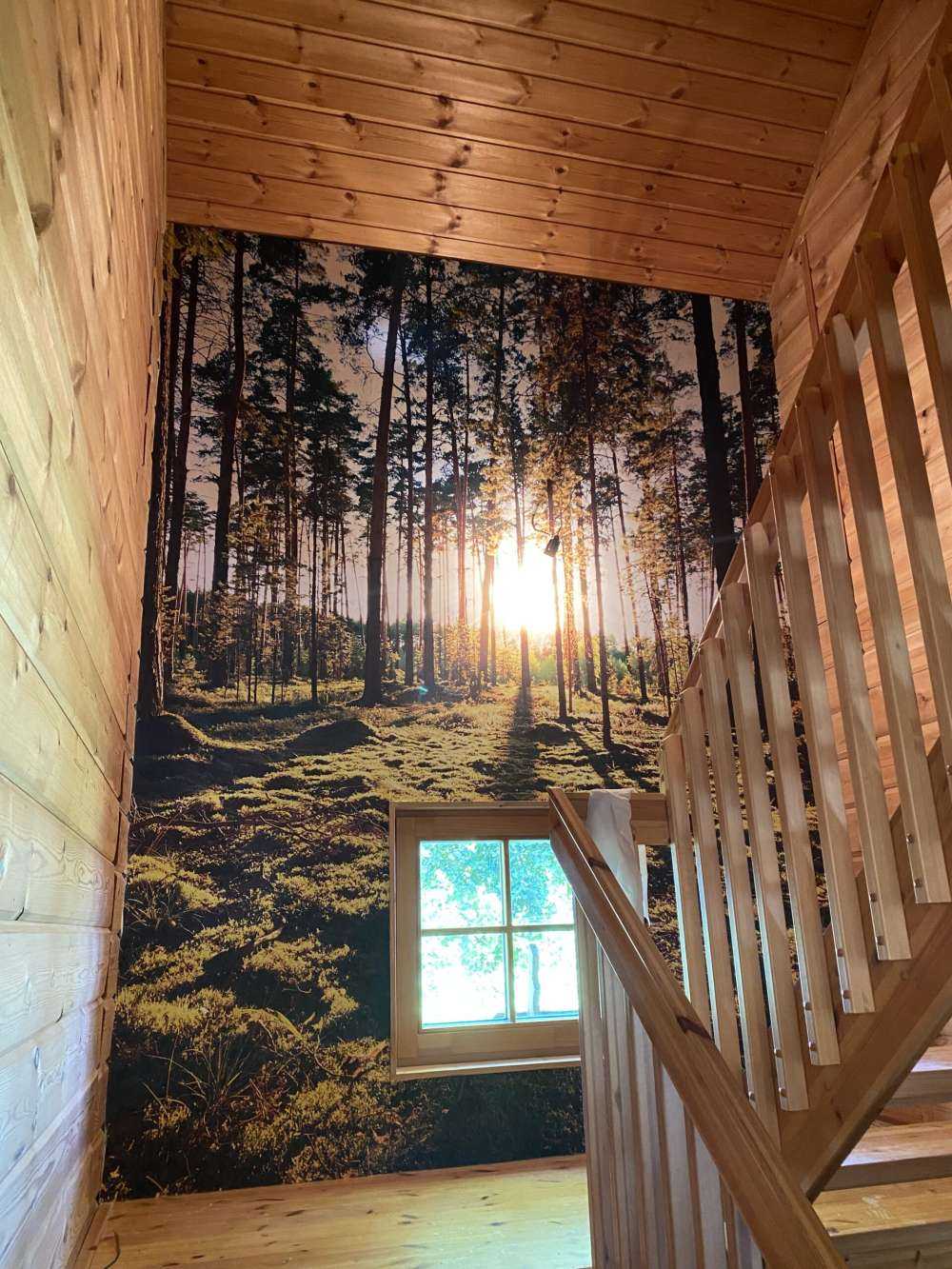 Pine forest