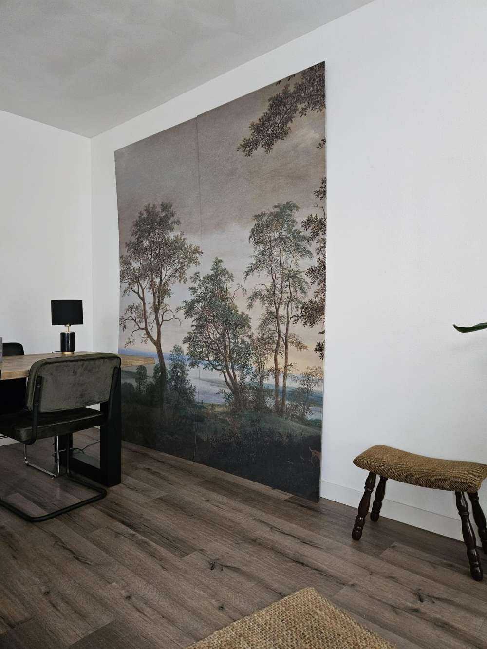 River landscape seen through trees