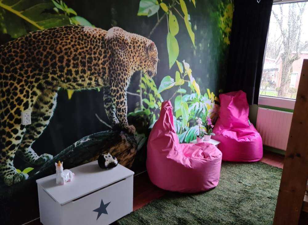 Leopard on a rock face