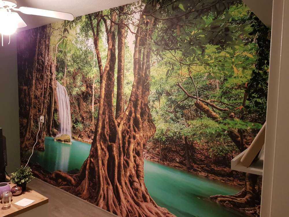 Waterfall in tropical jungle