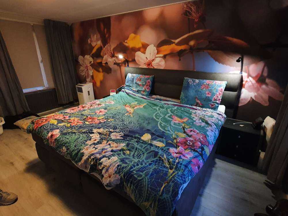 Pink blossoms and brown leaves