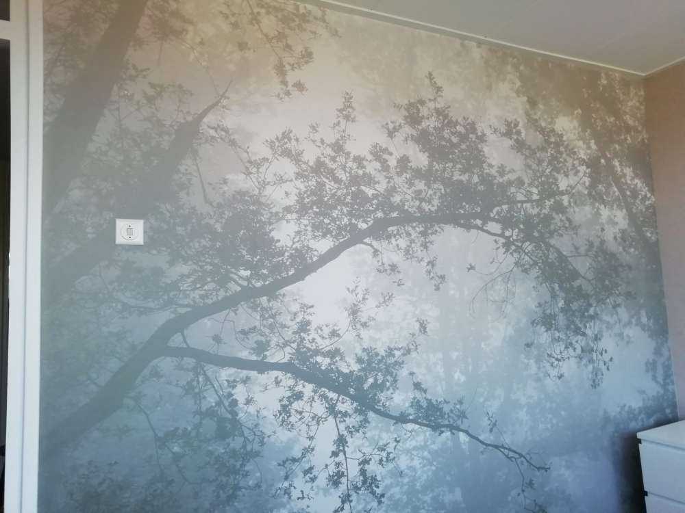 Mooi bos in de mist