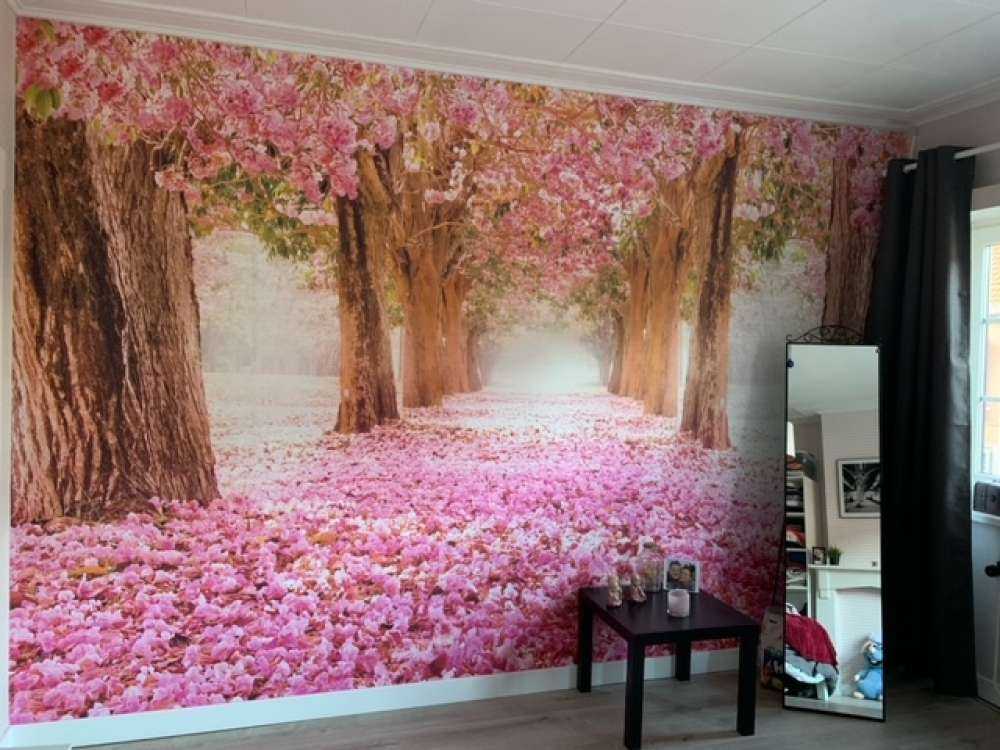 Photo wallpaper blossom