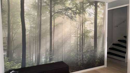 Green forest in the fog
