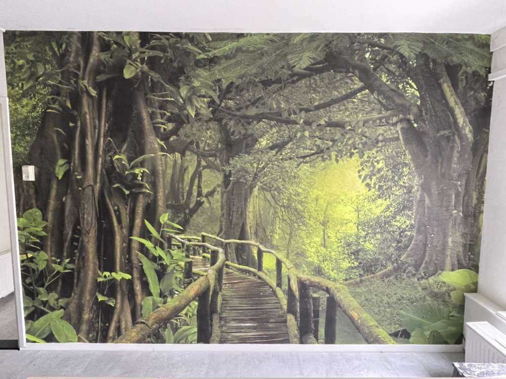 Wooden bridge through a green jungle