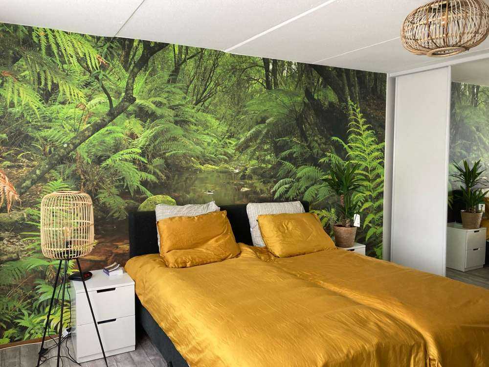 River in the rainforest