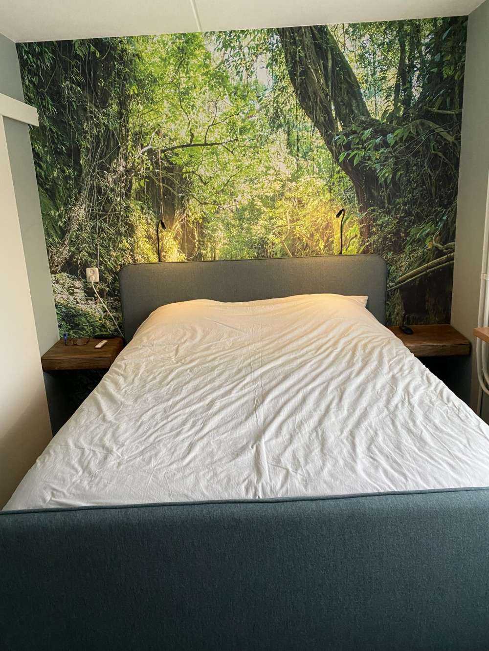 Path through the jungle