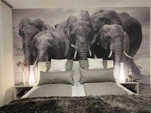 Herd of elephants