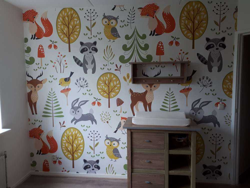 Animals in the forest