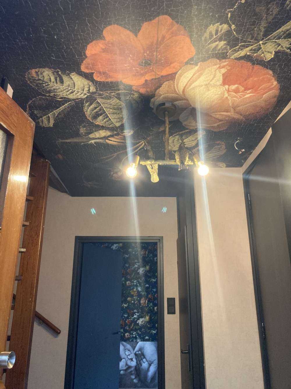 Still life with roses