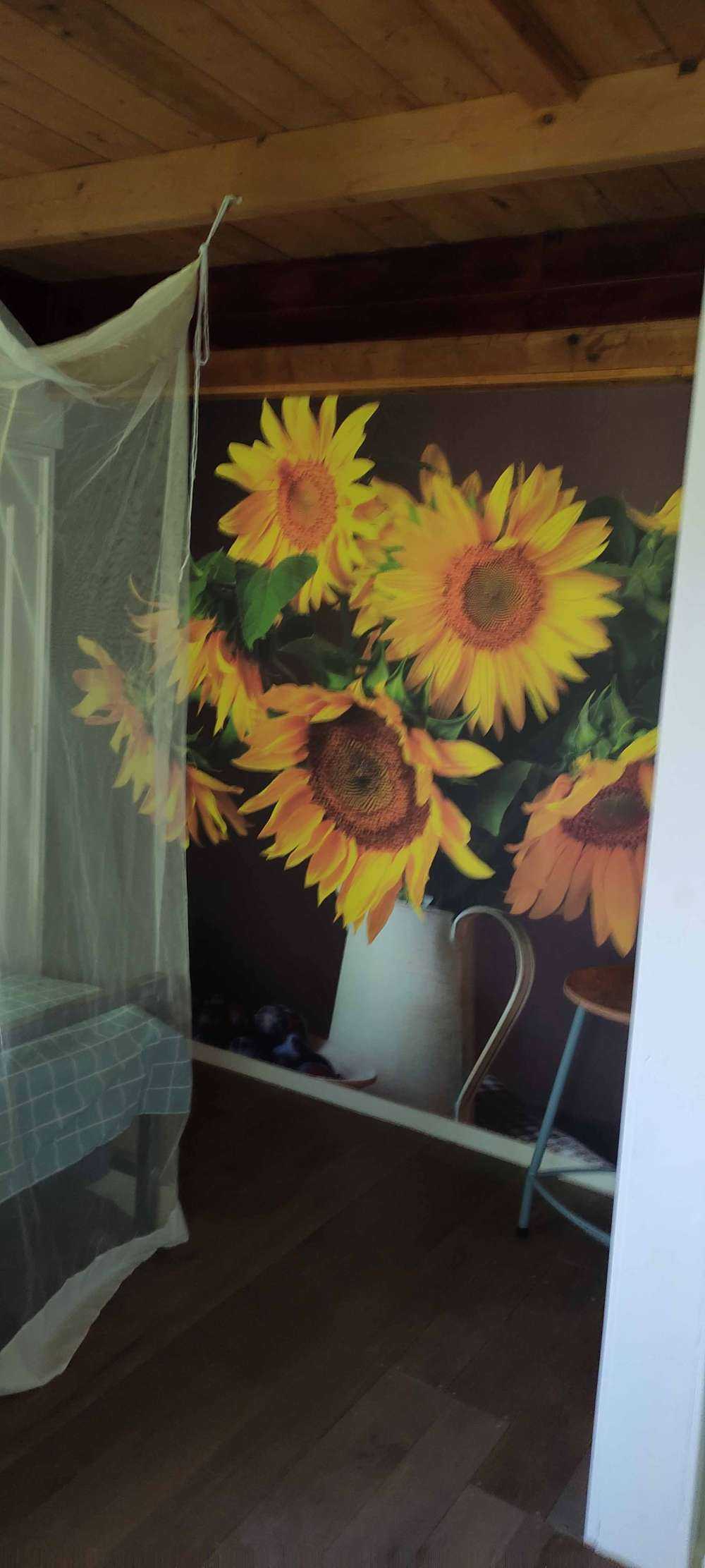 Sunflowers and berries