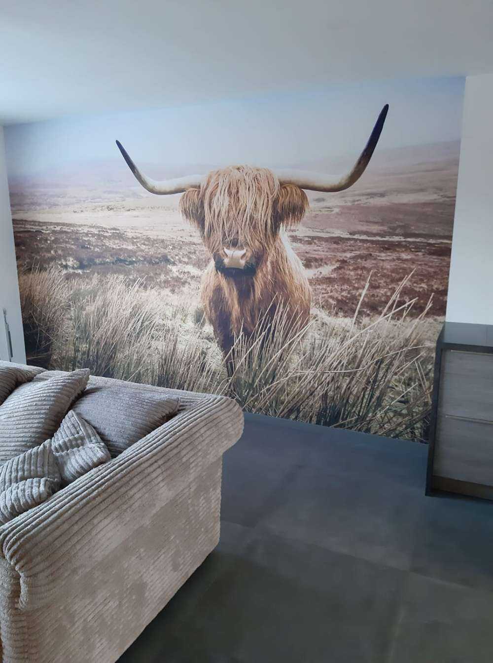 Scottish Highlander with reed