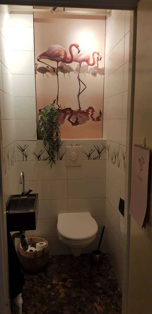 Flamingo Family