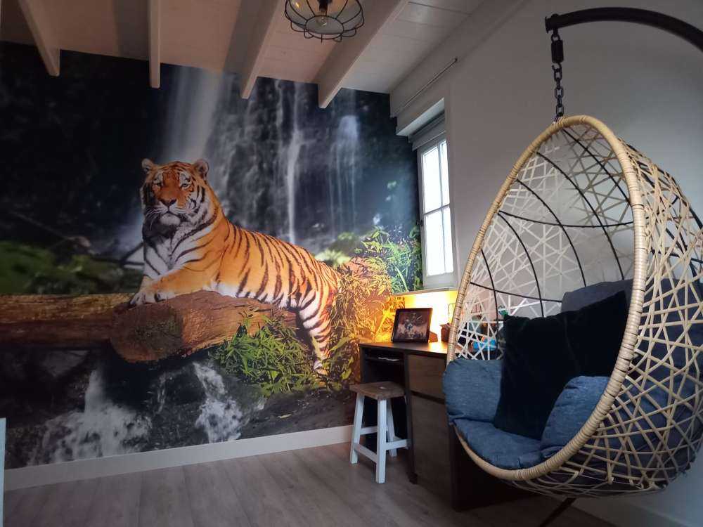 Tiger in the jungle