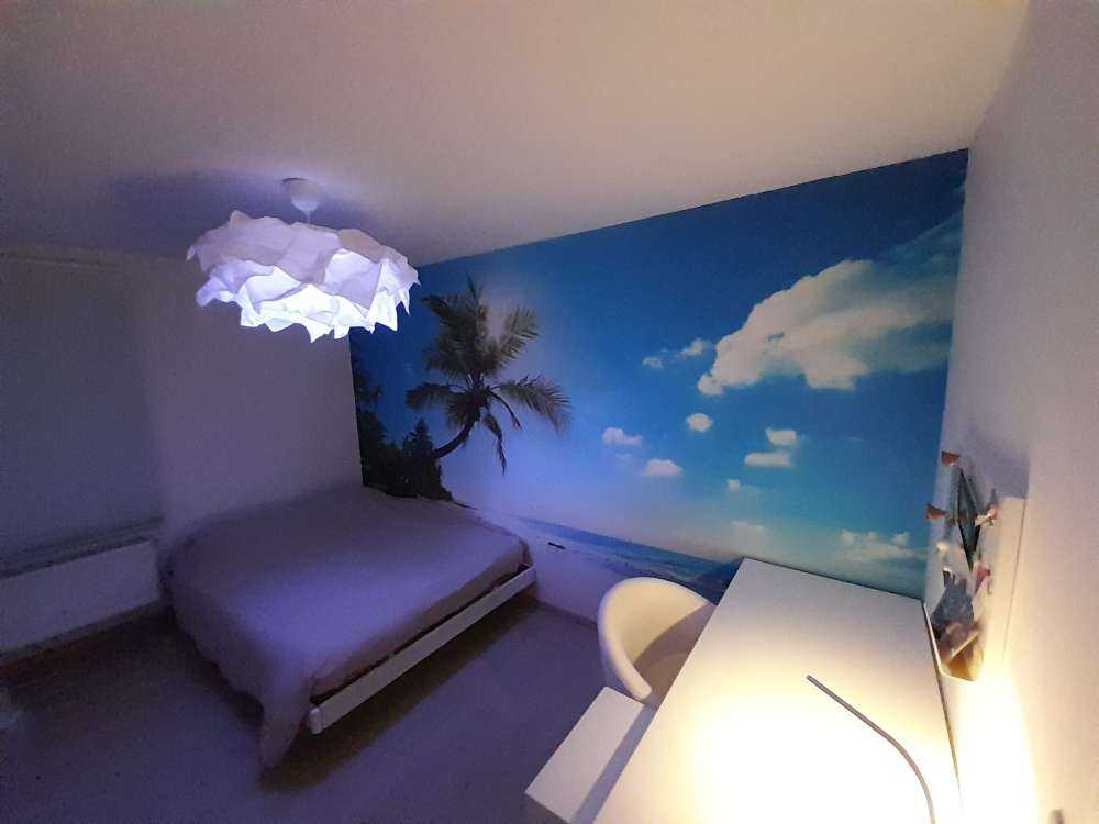 Large palm tree