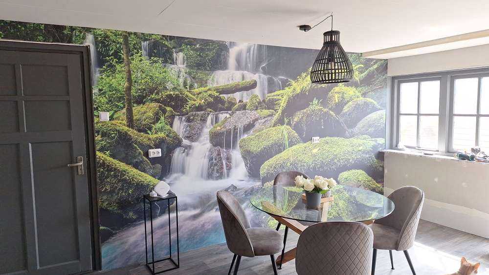 Waterfall in a jungle
