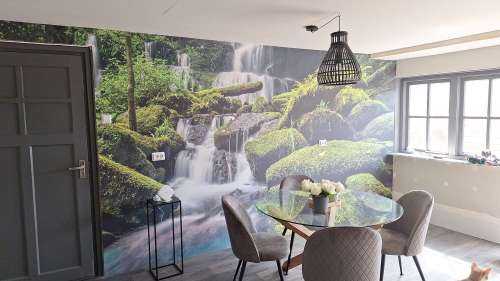 Waterfall in a jungle