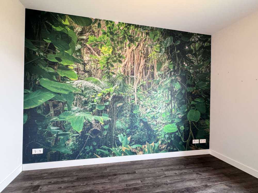 Branches in the rainforest