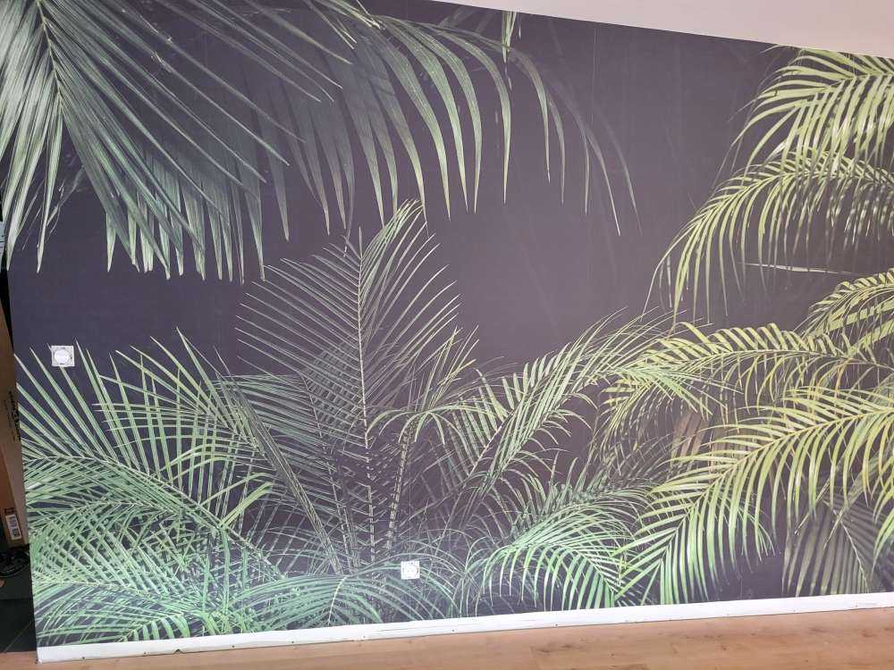 Plant with green leaves