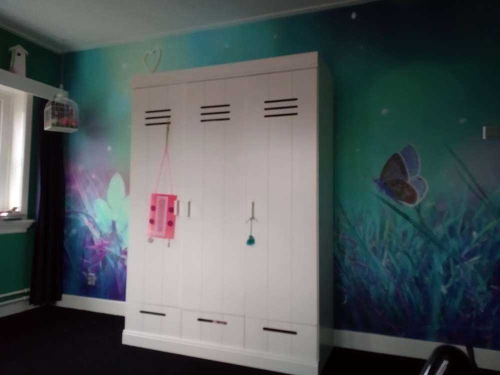 Butterfly in the morning dew