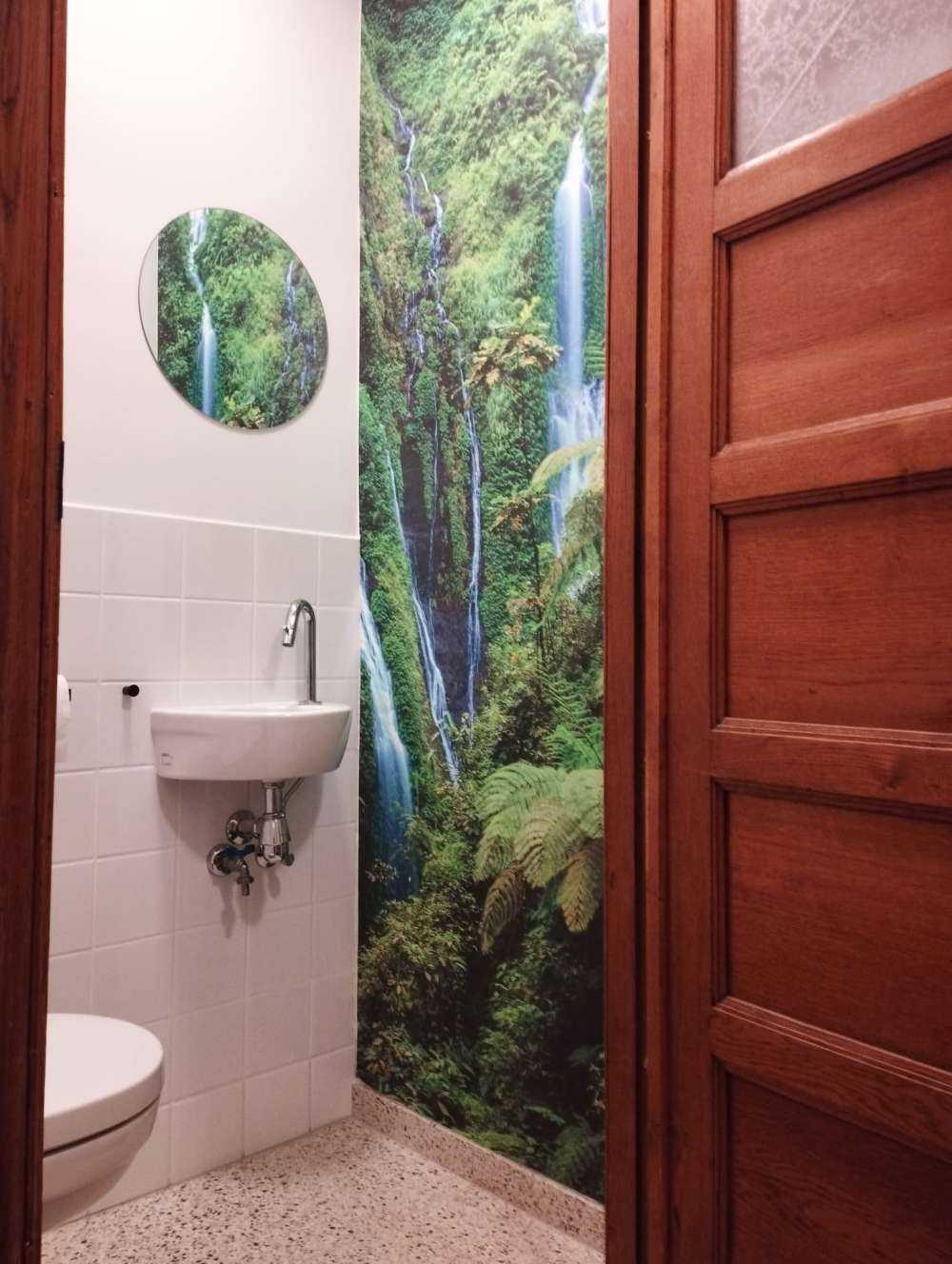 Green jungle and waterfalls