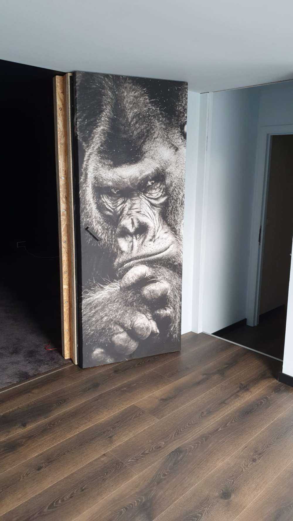 Close-up picture of a gorilla