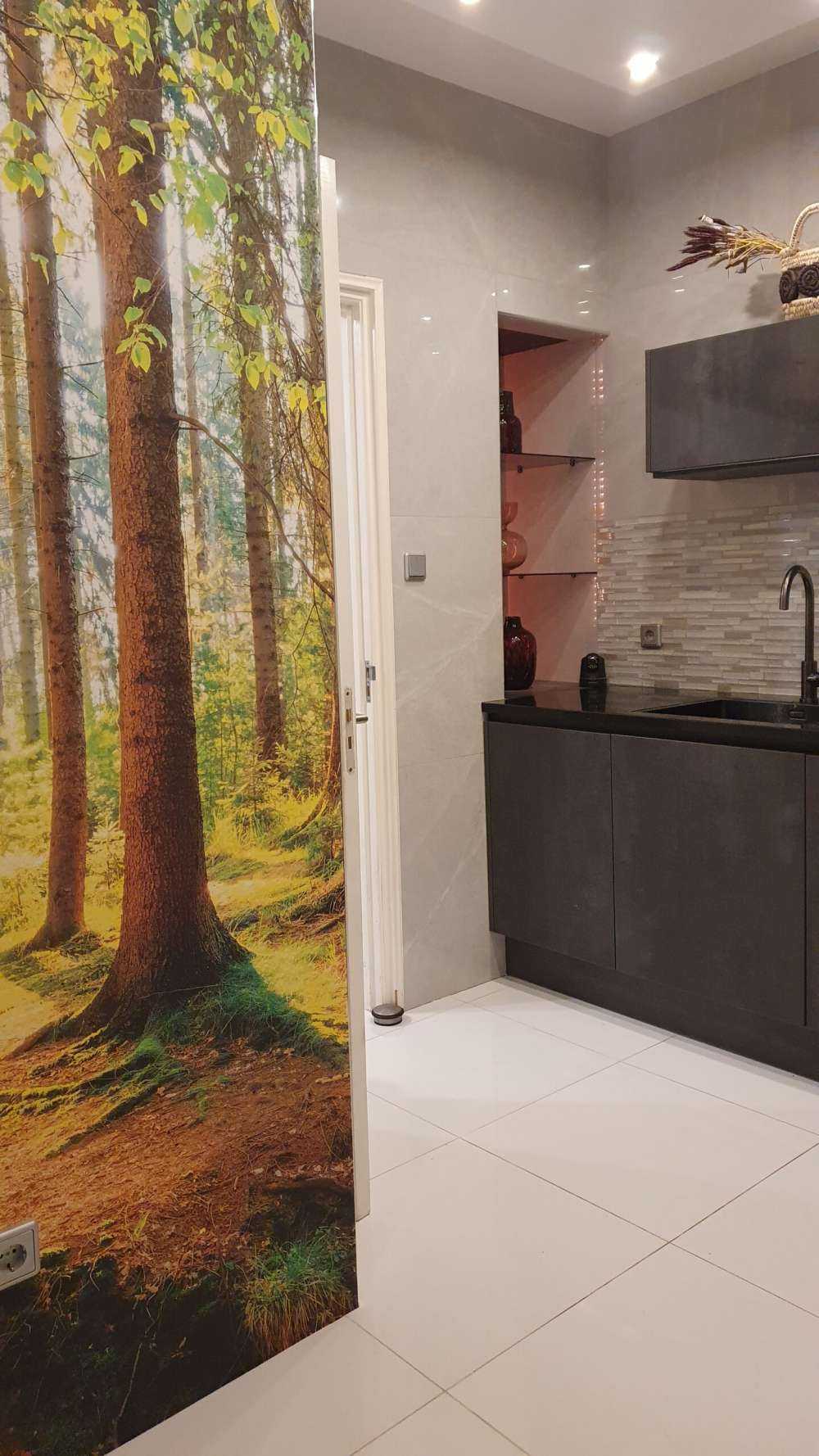 Sunrise in the forest