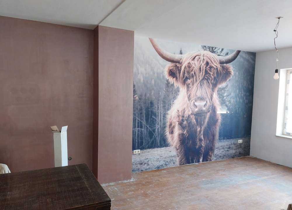 Scottish Highlander by the forest