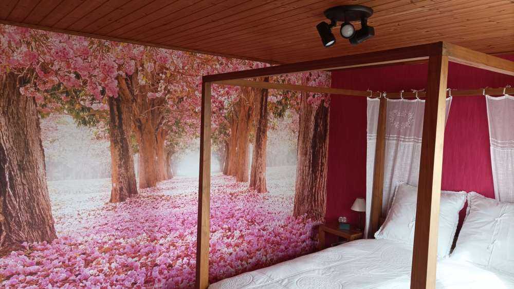 Photo wallpaper blossom