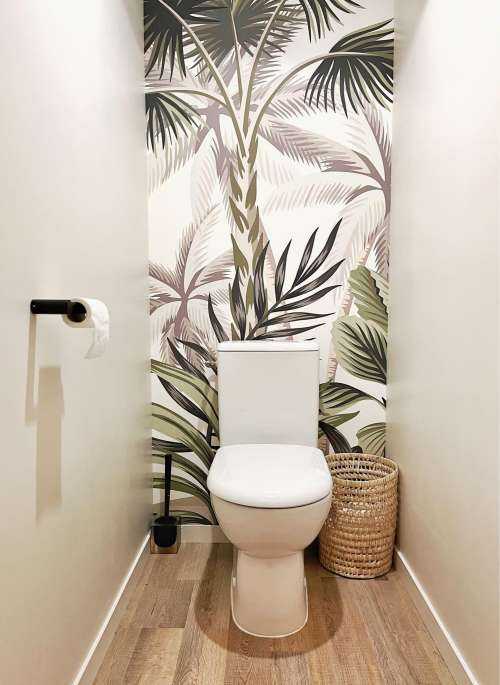 Jungle plants